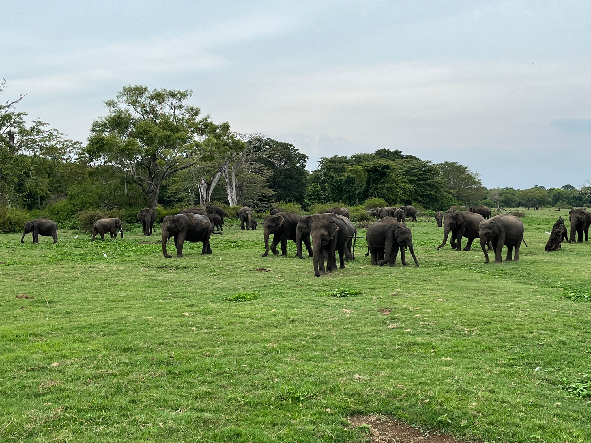 Sri Lanka Destination